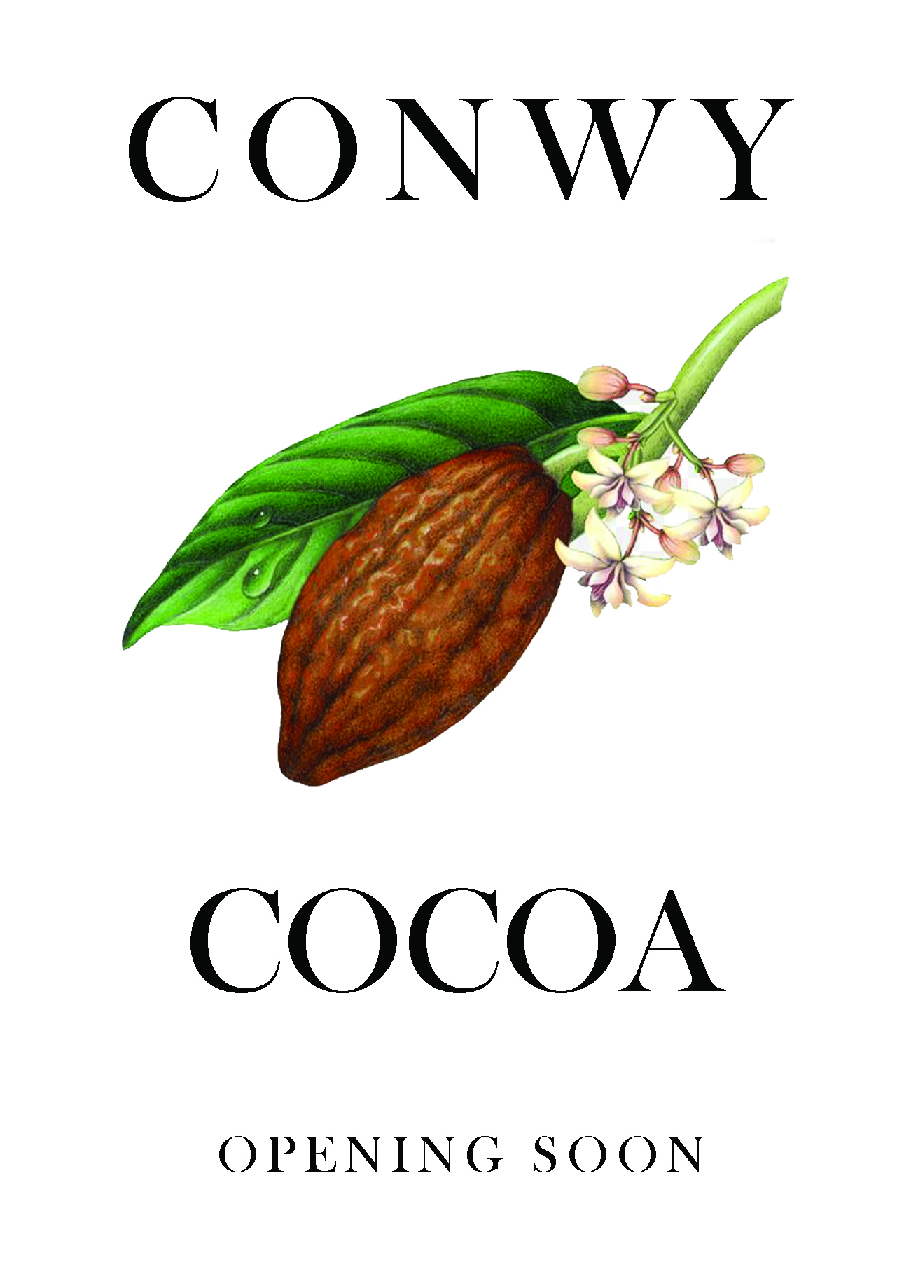 ConwyCocoa Coming Soon